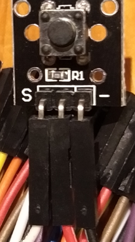 キャプションを入力できます