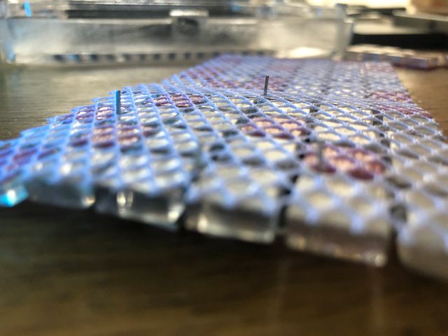 キャプションを入力できます