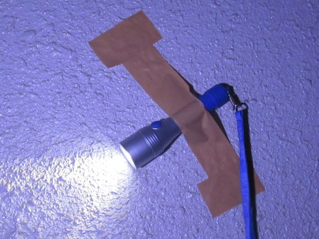 キャプションを入力できます