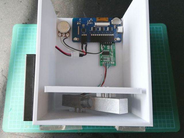 キャプションを入力できます