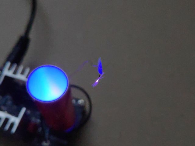 キャプションを入力できます