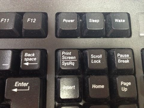 キャプションを入力できます